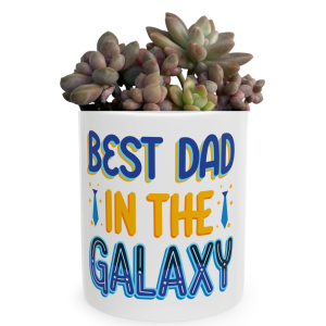 Succulent Gifts | Father's Day Gift | Branded Mug